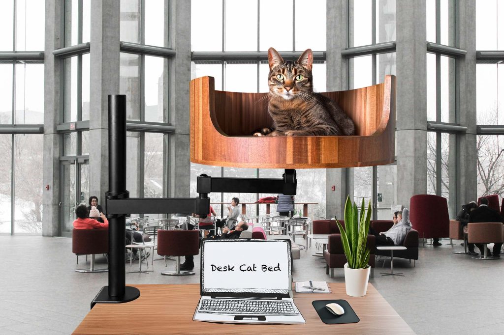 flat cat bed