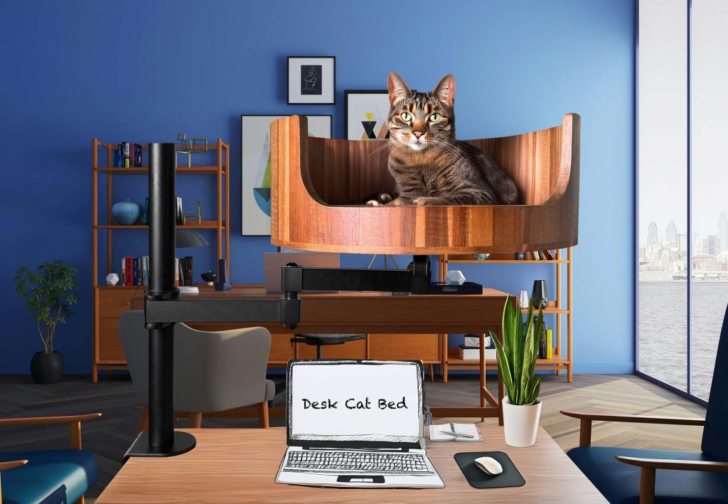 ginger cat bed and breakfast