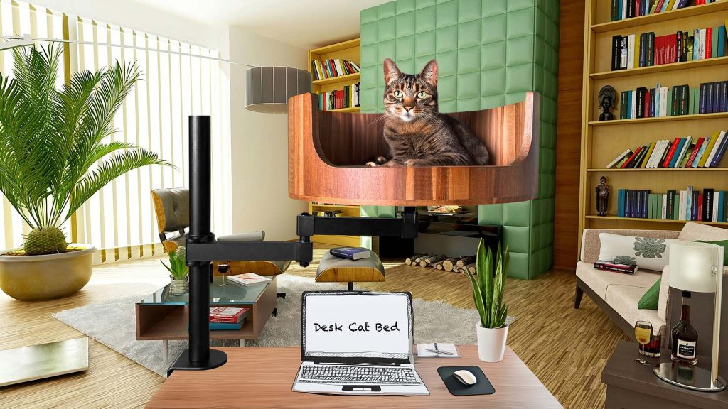 green cat bed