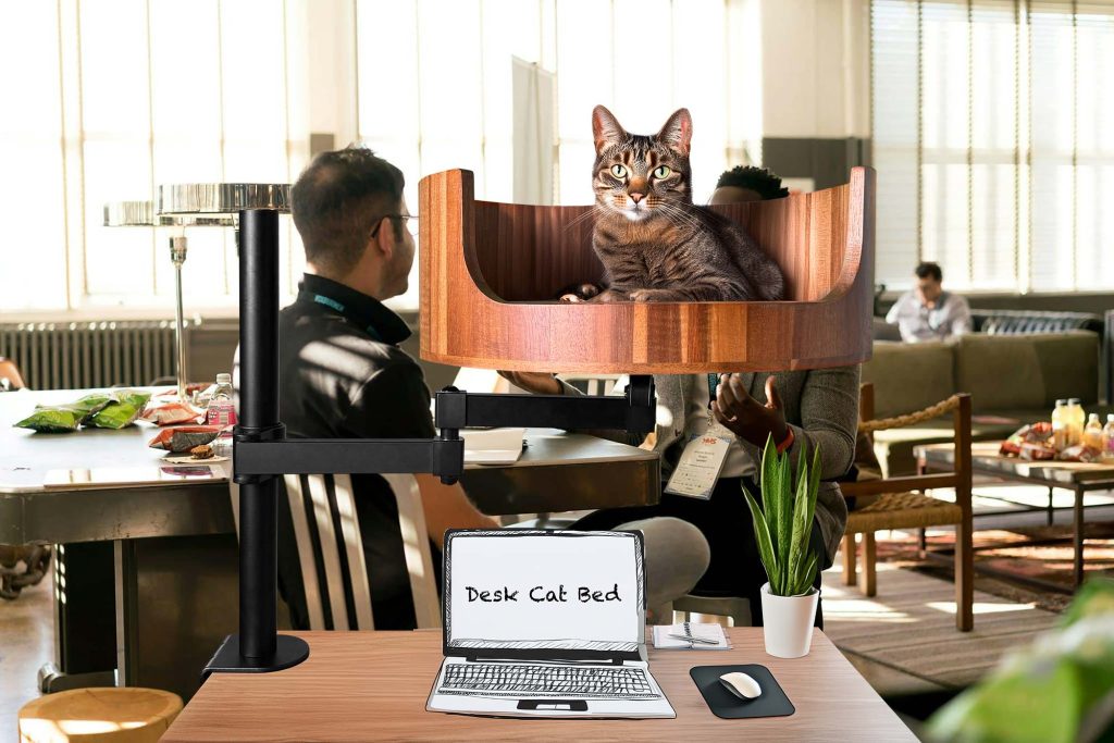 gucci cat bed