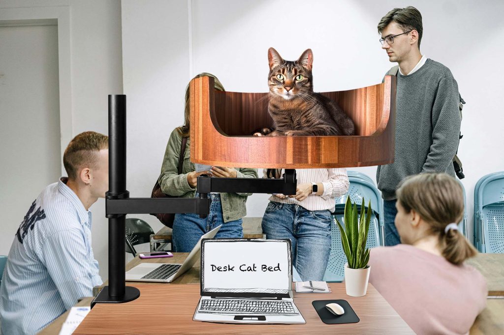heated cat bed