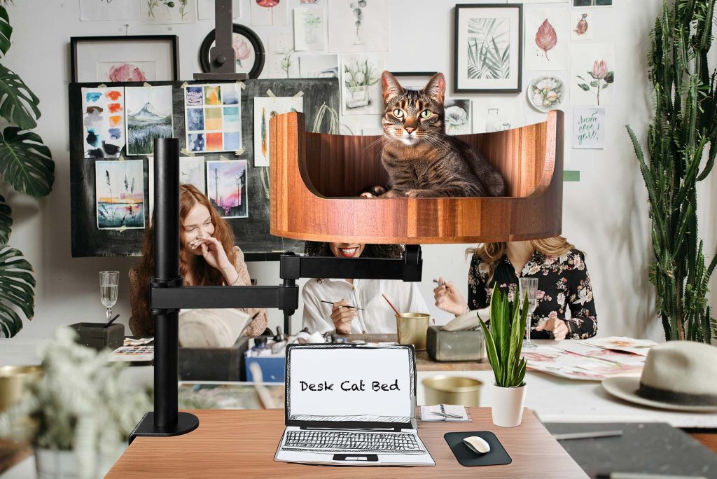 human sized cat bed