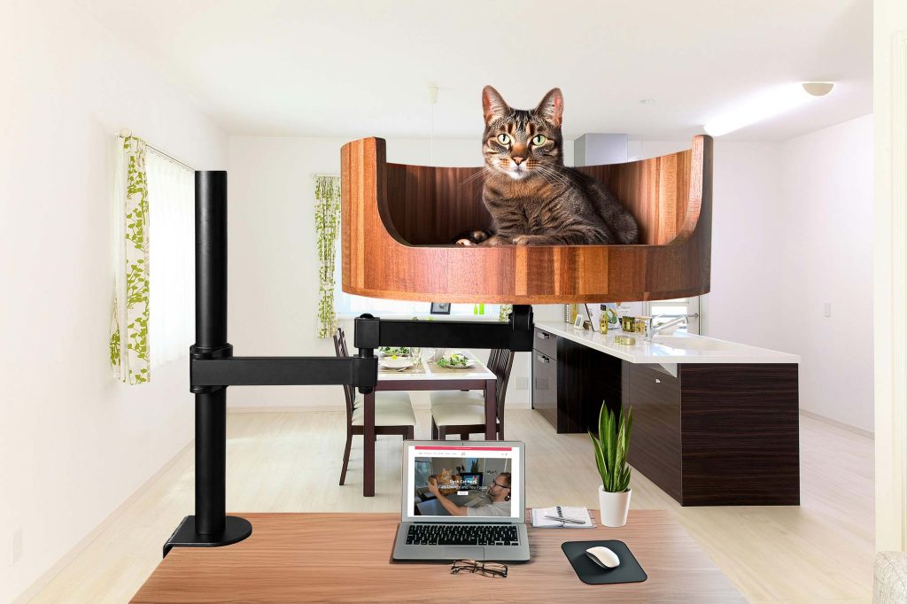 i 3 my cat pfp