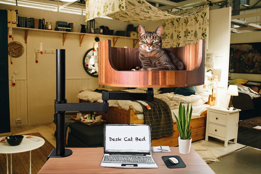 insurance cat d