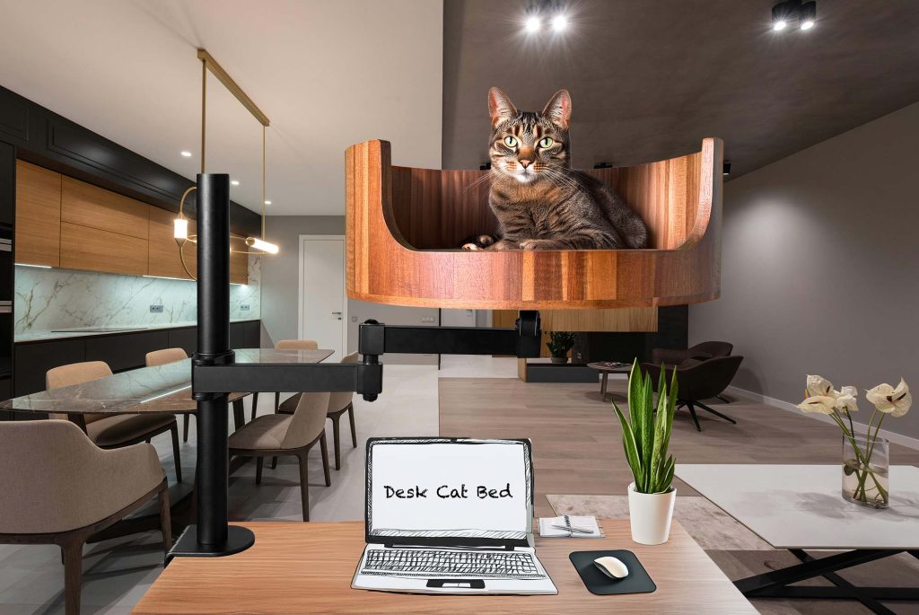 jackson galaxy cat bed