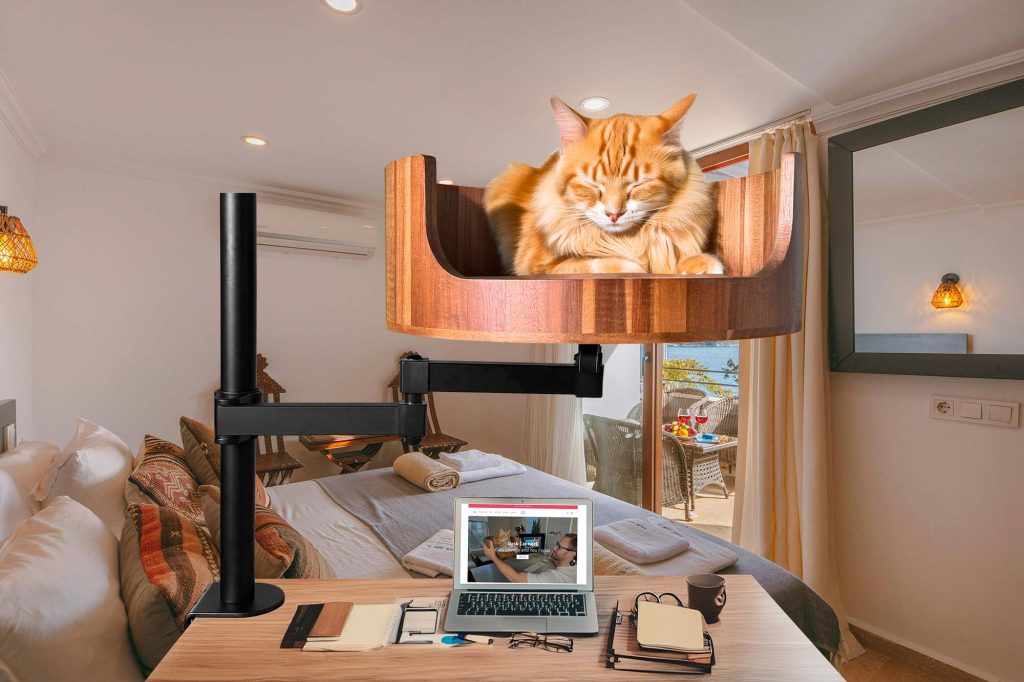 love my cat like a child