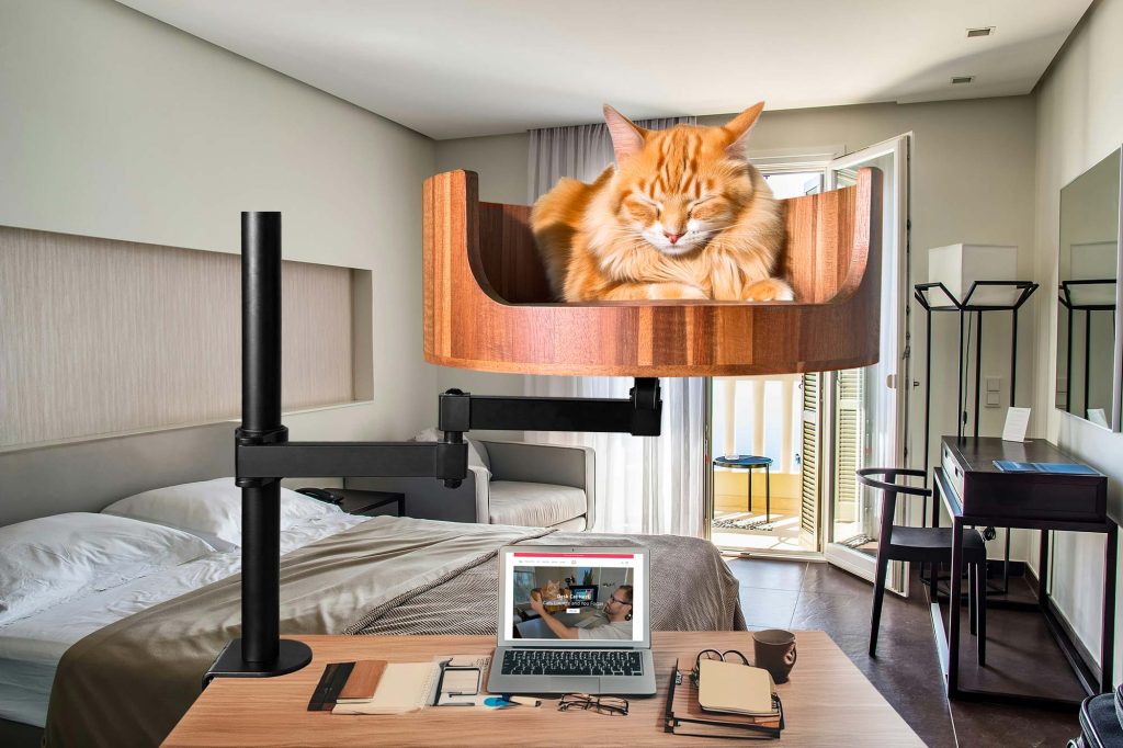 my cat bites my hair