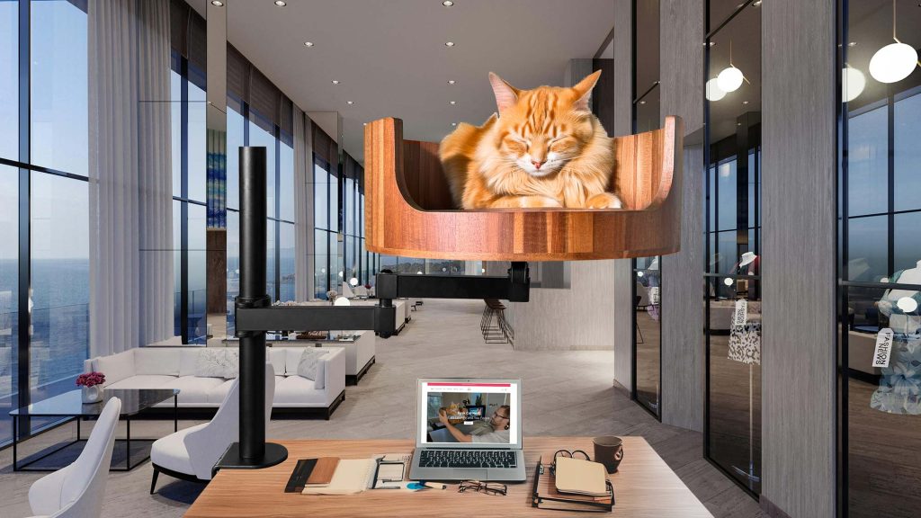 my cat peed on my bed how do i clean it