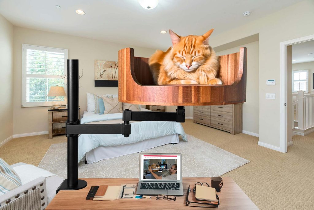 my cat sleeps at my feet