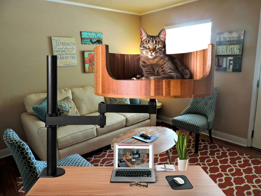 name my cat