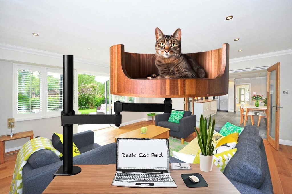 office cat employee morale