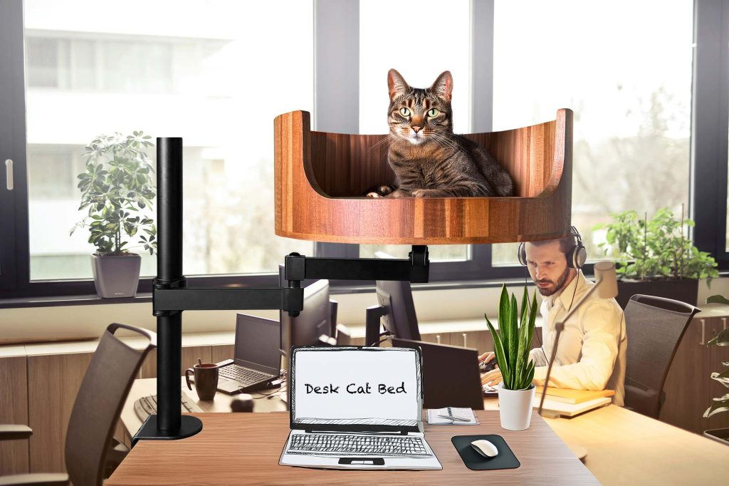 small cat bed