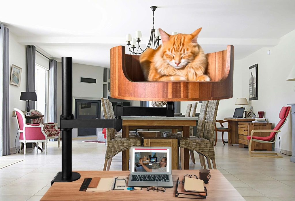 top part of screen cut off