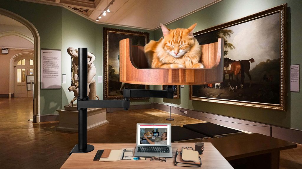 what is 3 in cat years