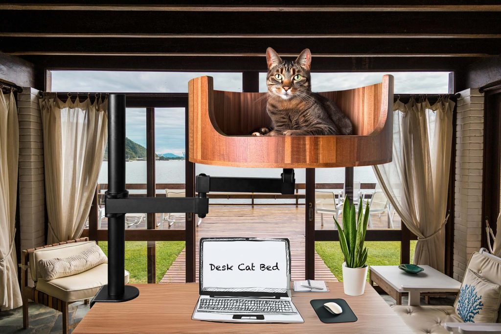 why cats wag their tails