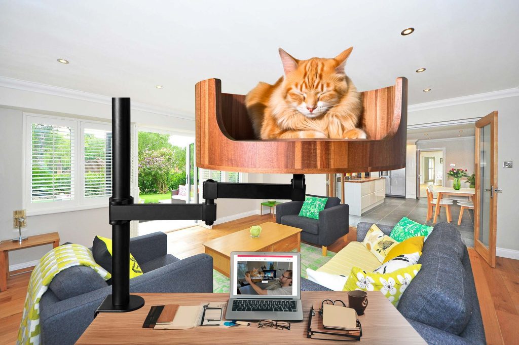 why did my cat bite my hair