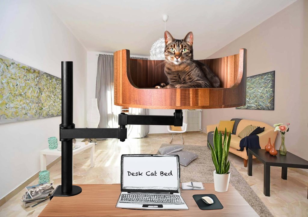 why do cat wag their tails