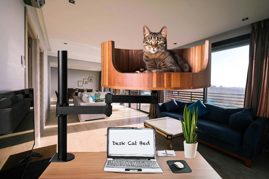 why do cats chirrup