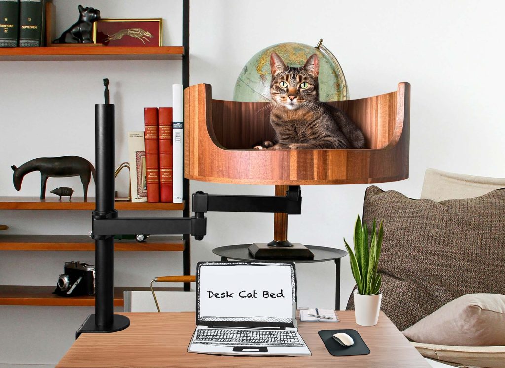why do cats flick their tail