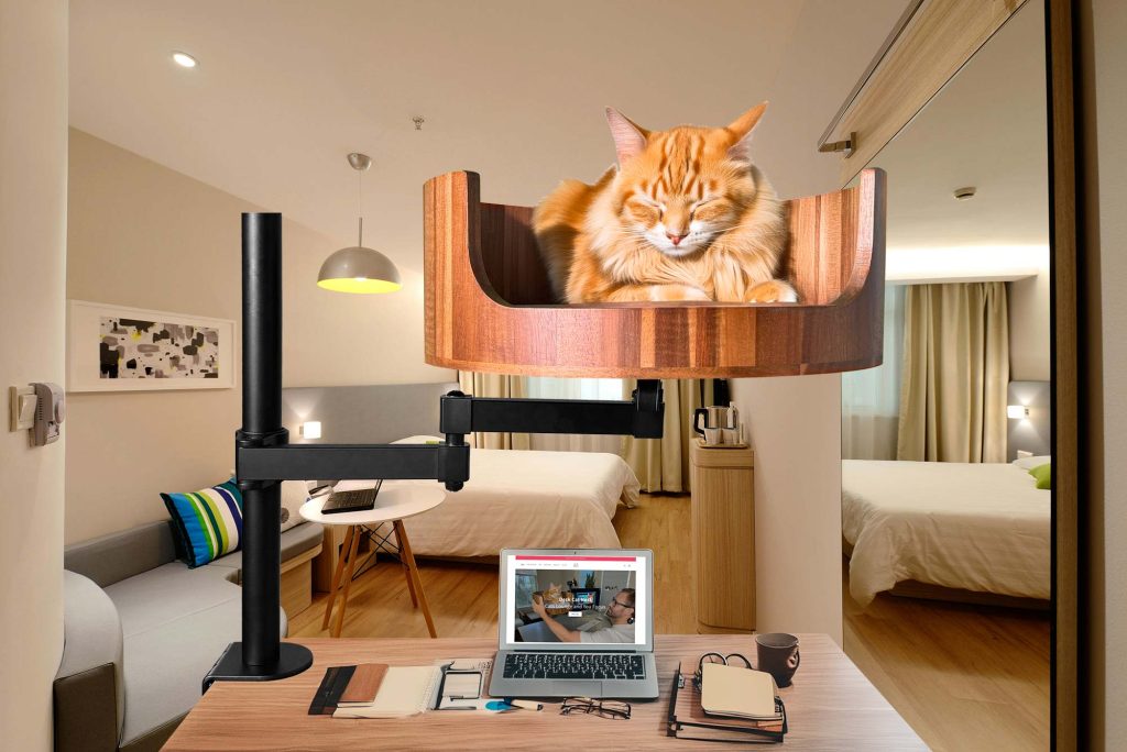 why do cats poop on the bed