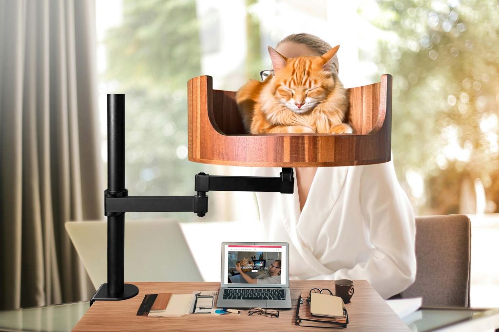 why do cats shed so much