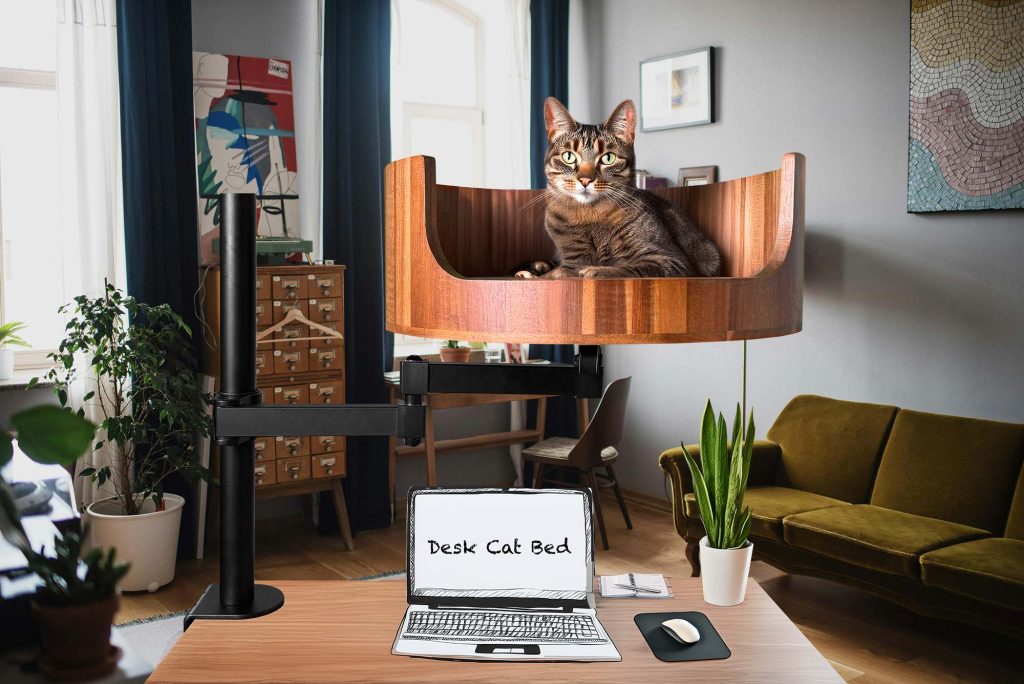 why do cats tails quiver