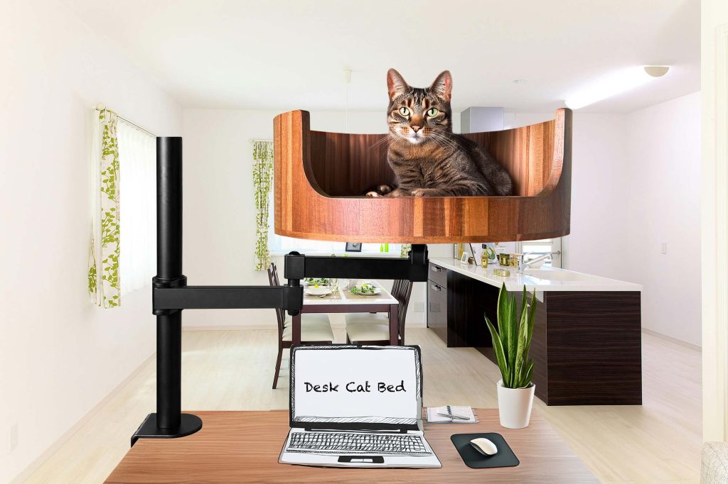why do cats tails wag