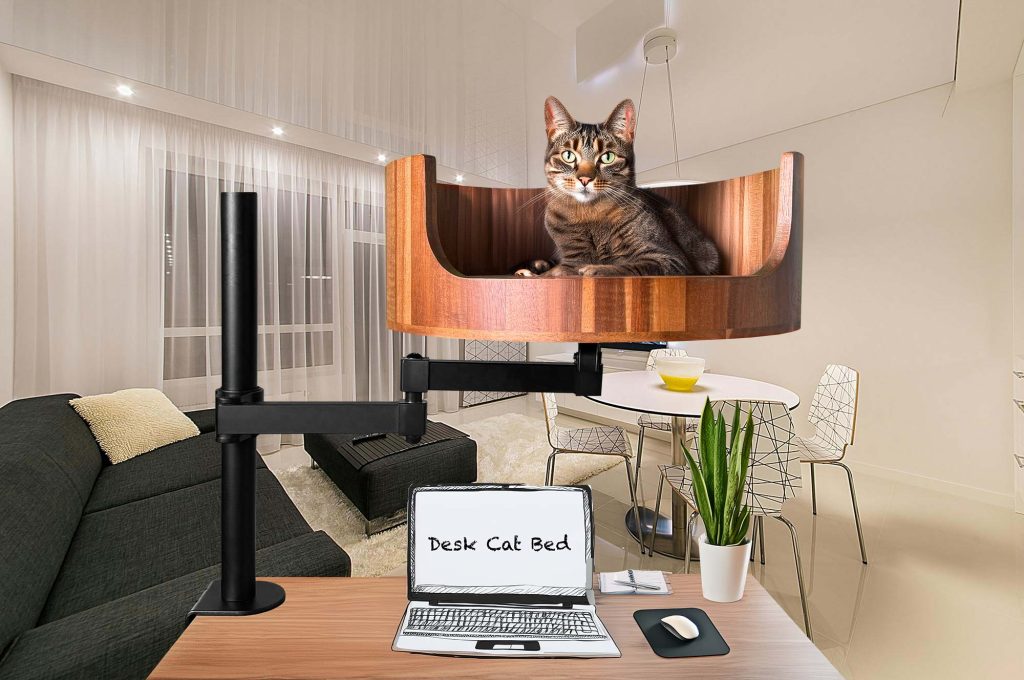 why do cats vibrate