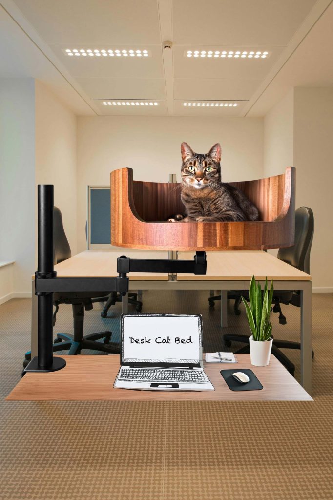 why do cats wag their tail