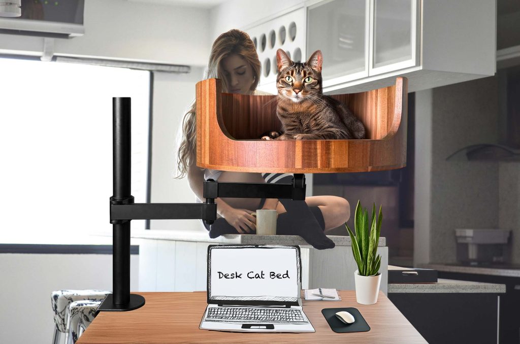 window sill cat bed