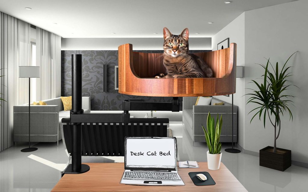 zebra print cat bed