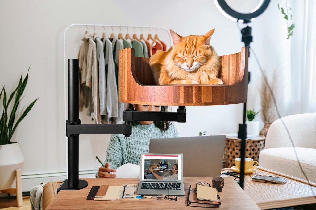 cat bed beside bed