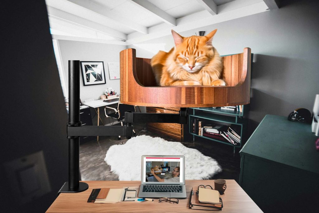 cat bed big w