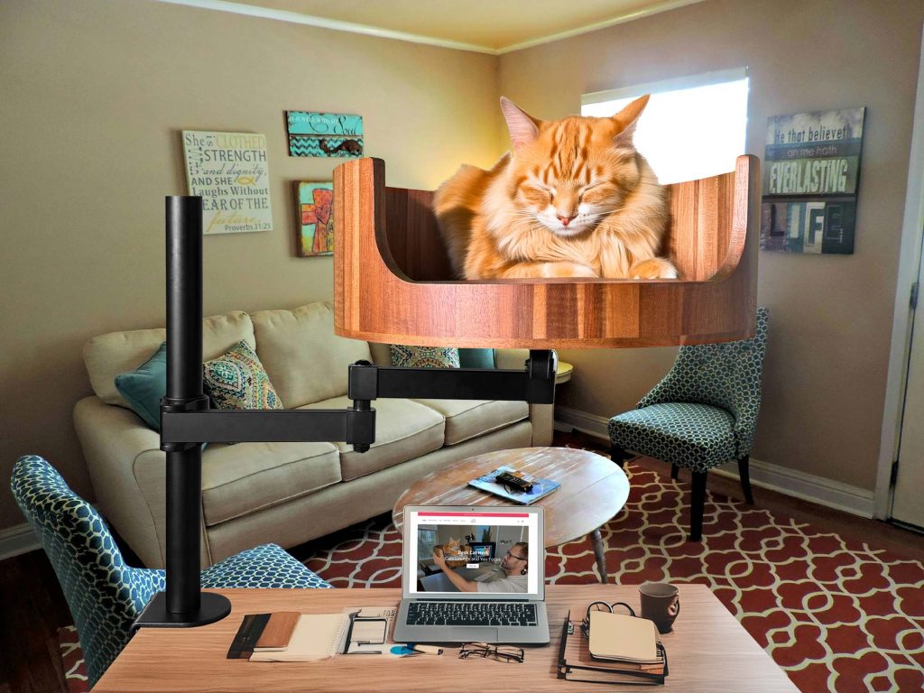 cat bed for human bed