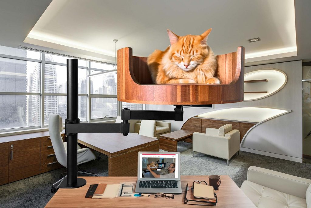 cat bed for two cats