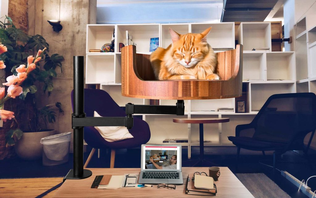 cat bed meesho