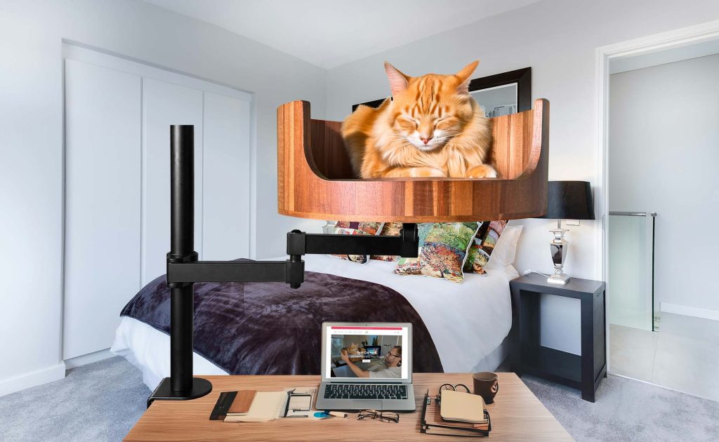 cat bed sizes