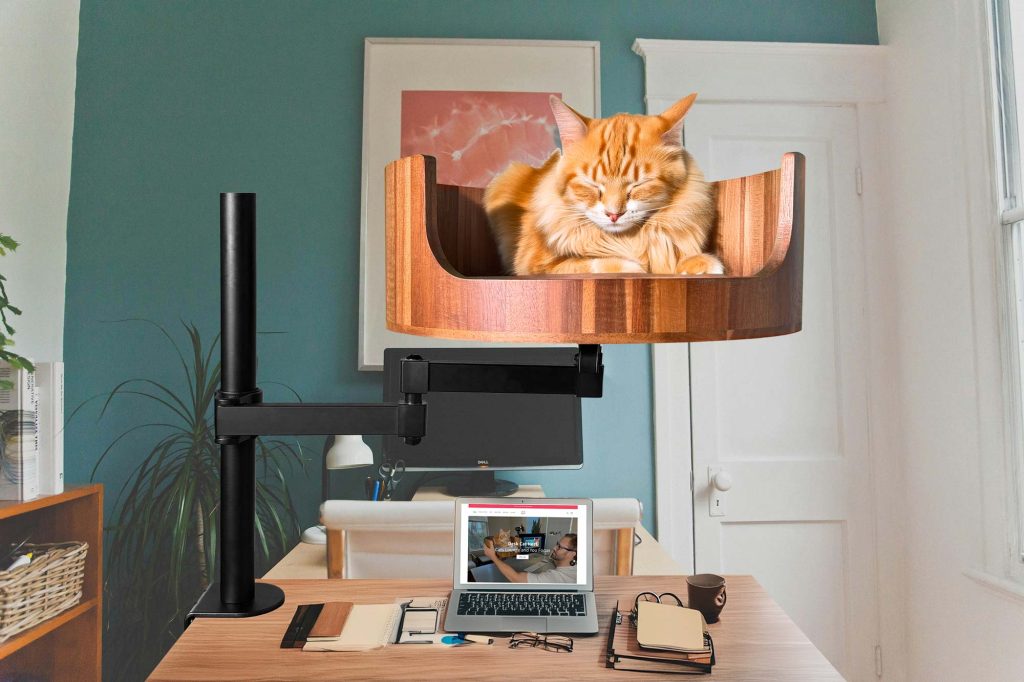 cat boredom symptoms
