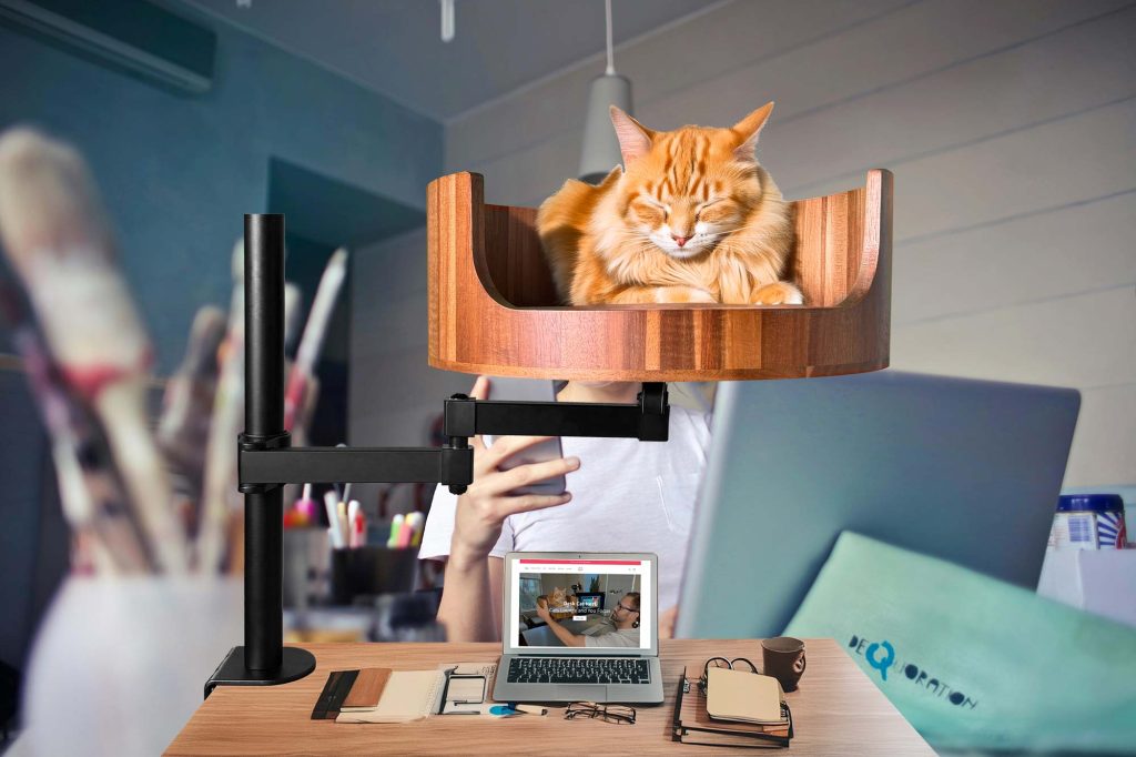 cat eating mouse