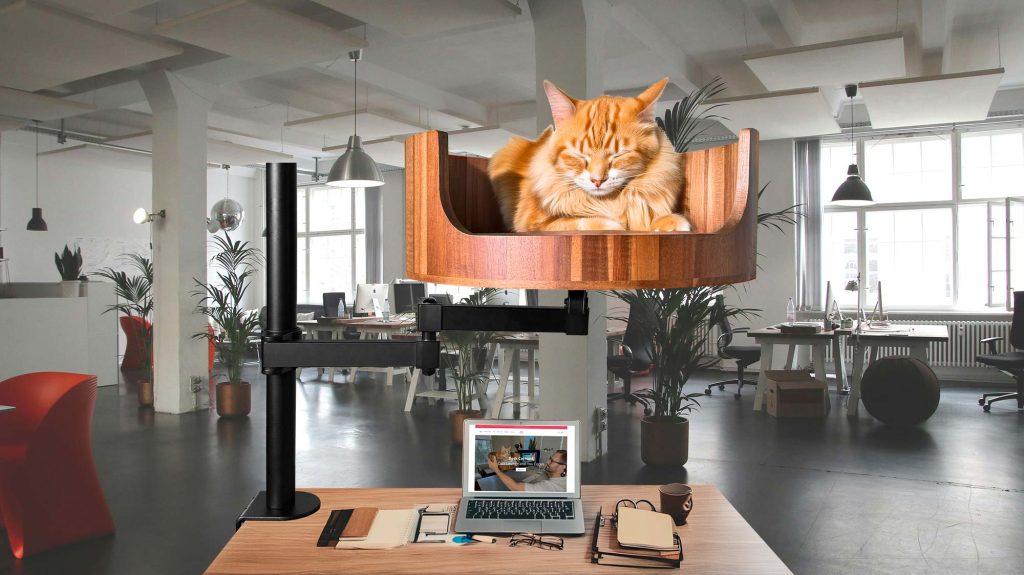 cat tipping