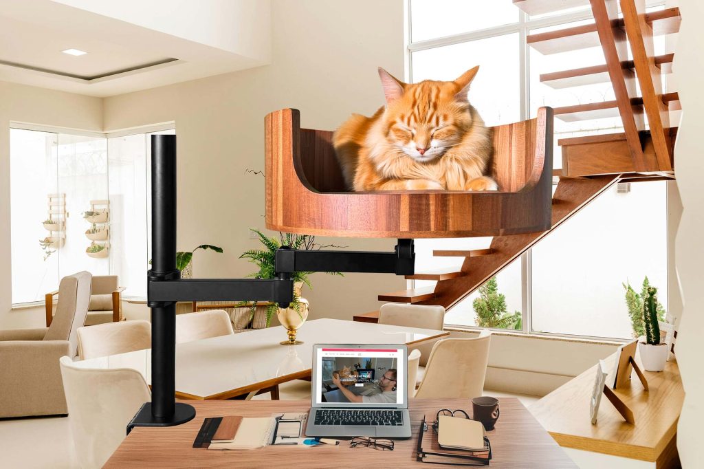 cup noodle cat bed