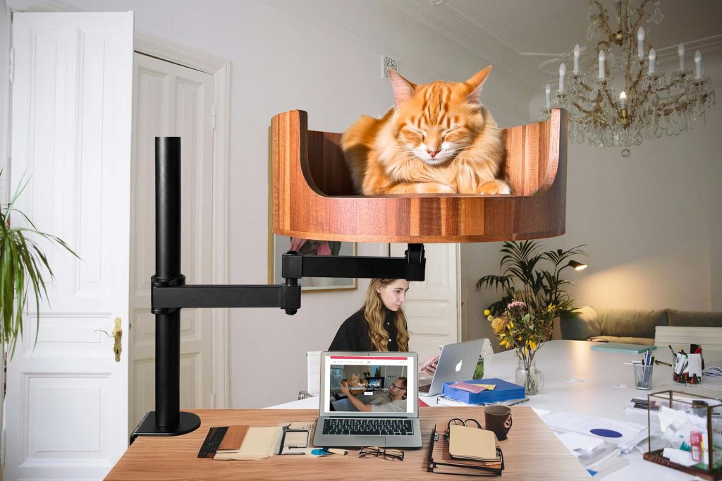 diarrhea and vomiting in cats