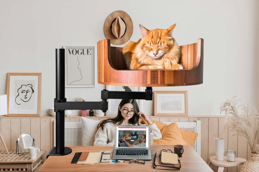 diy cat nest