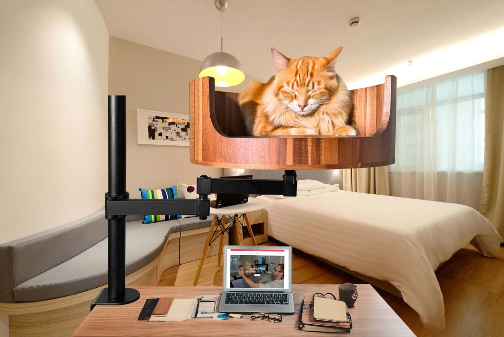 do cats have 9 lives