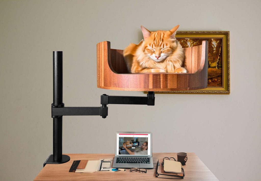 do cats like phones