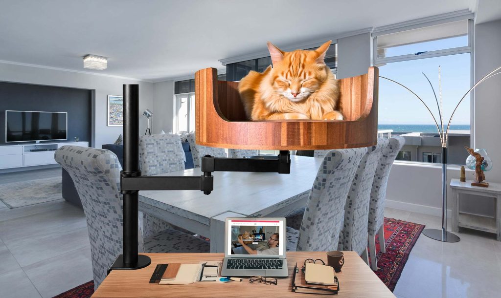 homemade cat beds