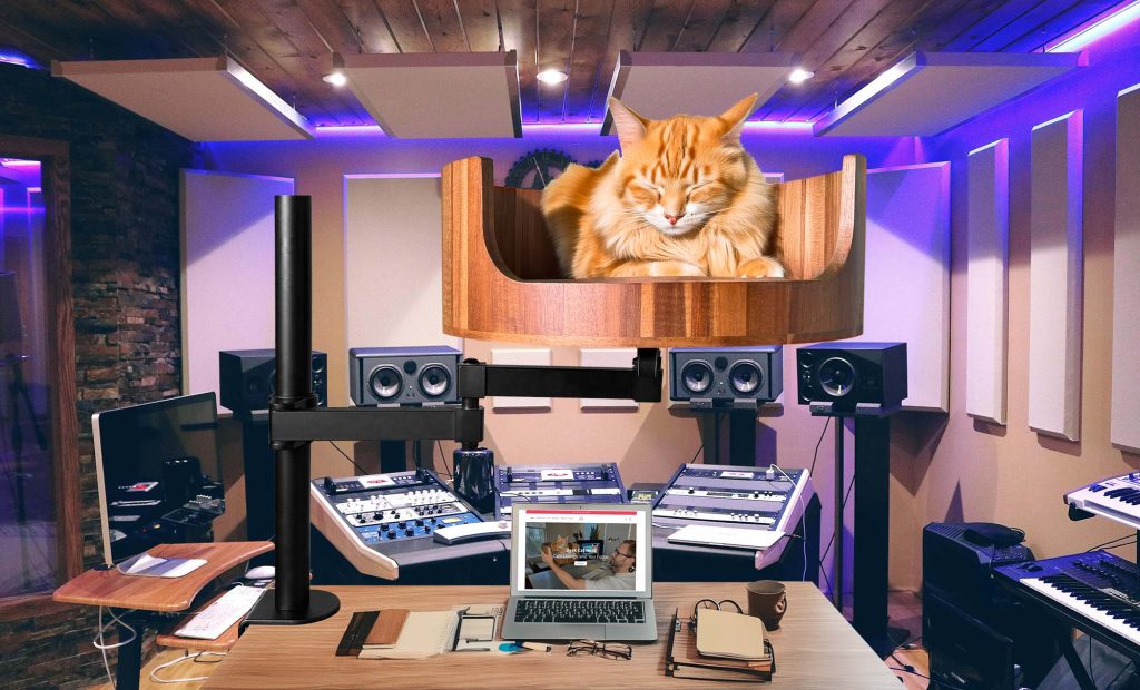 how to entertain your cat