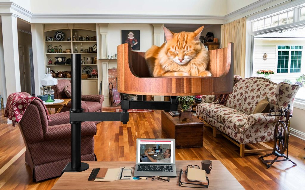 how to know if cat is bored