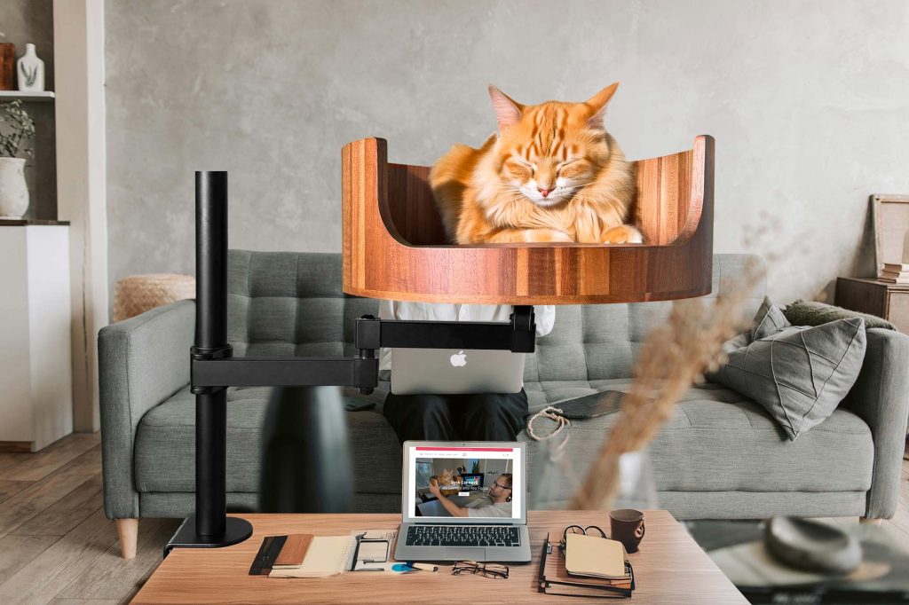 how to make my cat stop meowing
