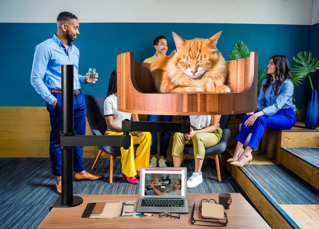 lidl pet bed